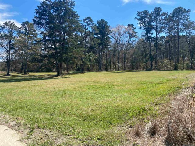 B-1-A-2 Spring House Dr, Greenwell Springs, LA 70739