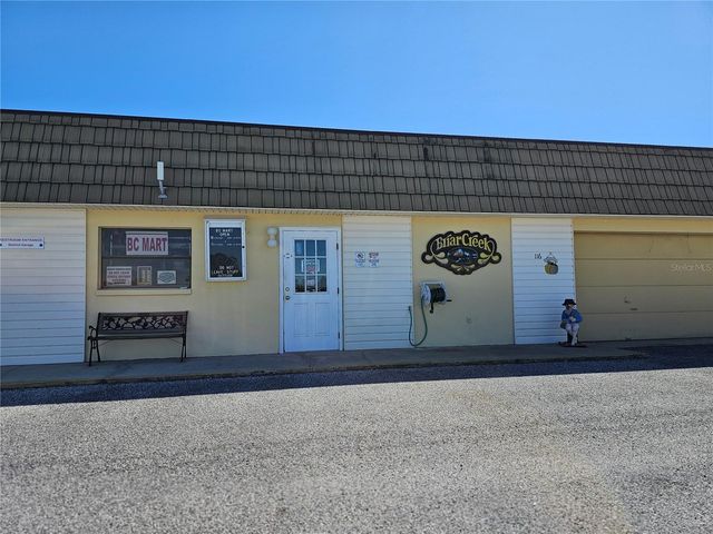 30 STAG RUN COURT 11, Safety Harbor, FL 34695