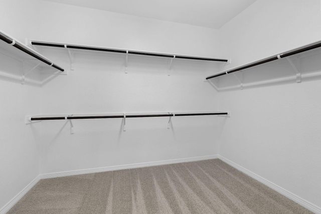 1437 Blue Moon DR, Georgetown, TX 78628