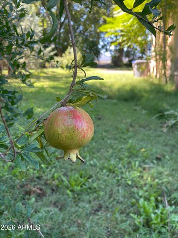 547 N MONTEZUMA CASTLE Highway, Camp Verde, AZ 86322