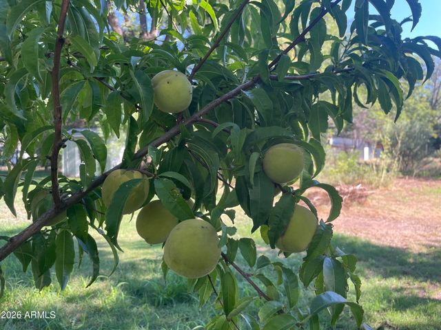 547 N MONTEZUMA CASTLE Highway, Camp Verde, AZ 86322