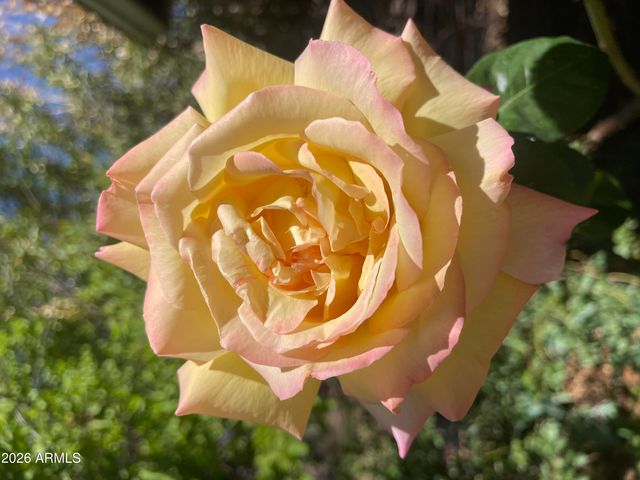 547 N MONTEZUMA CASTLE Highway, Camp Verde, AZ 86322