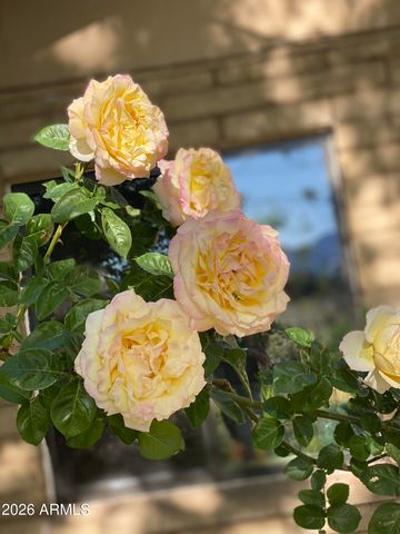 547 N MONTEZUMA CASTLE Highway, Camp Verde, AZ 86322