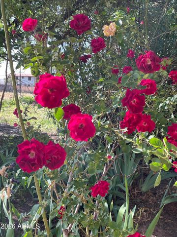 547 N MONTEZUMA CASTLE Highway, Camp Verde, AZ 86322