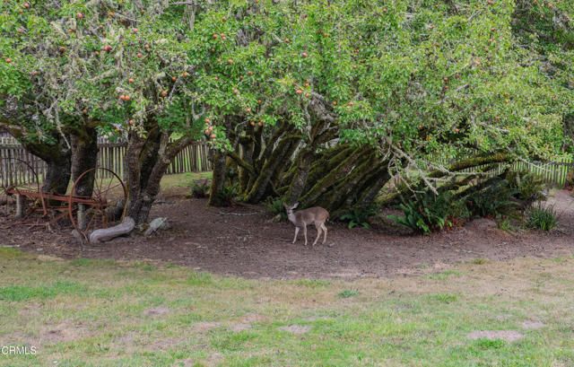 31600 Little Valley Road, Fort Bragg, CA 95437