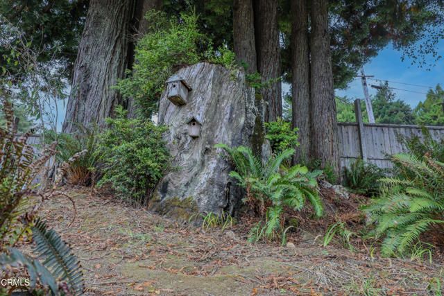 31600 Little Valley Road, Fort Bragg, CA 95437