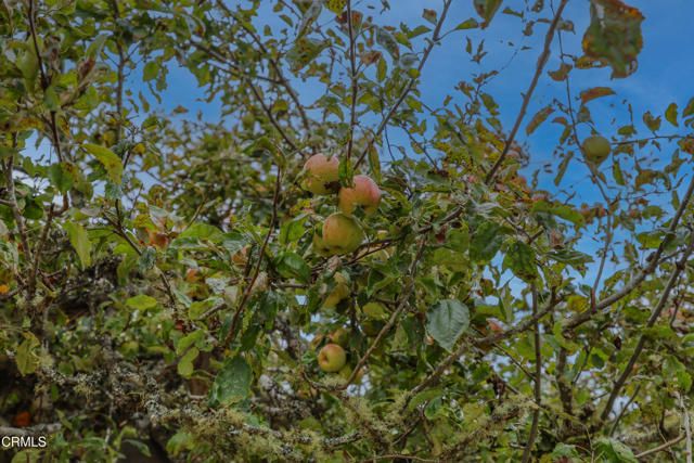 31600 Little Valley Road, Fort Bragg, CA 95437