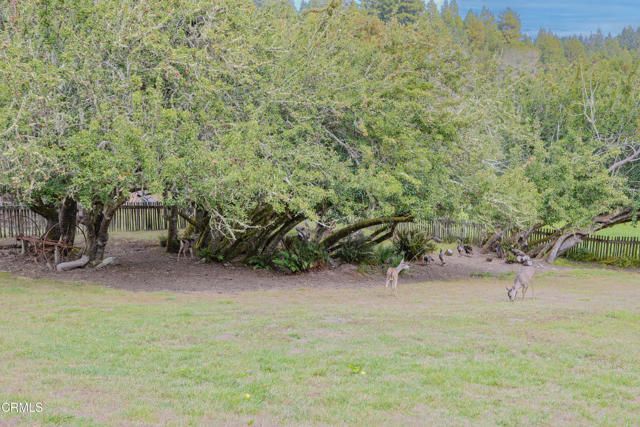 31600 Little Valley Road, Fort Bragg, CA 95437