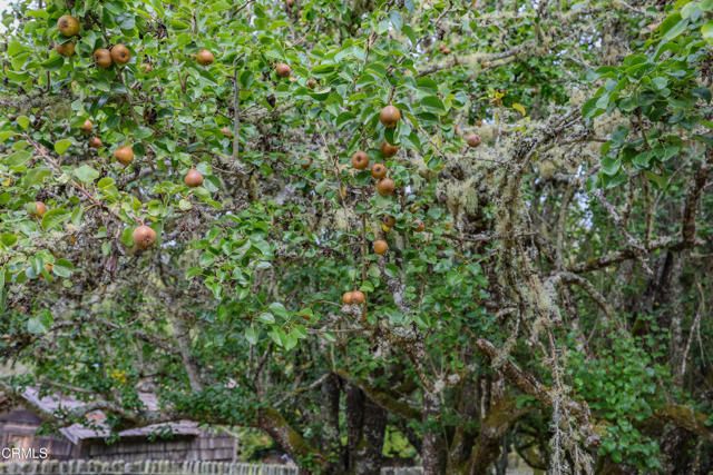 31600 Little Valley Road, Fort Bragg, CA 95437