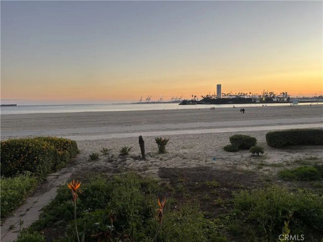 1230 E Ocean 103, Long Beach, CA 90802