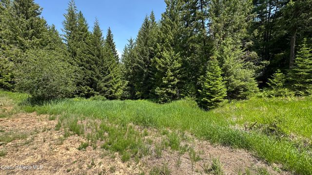 2387 Cherry Creek Rd, St. Maries, ID 83861