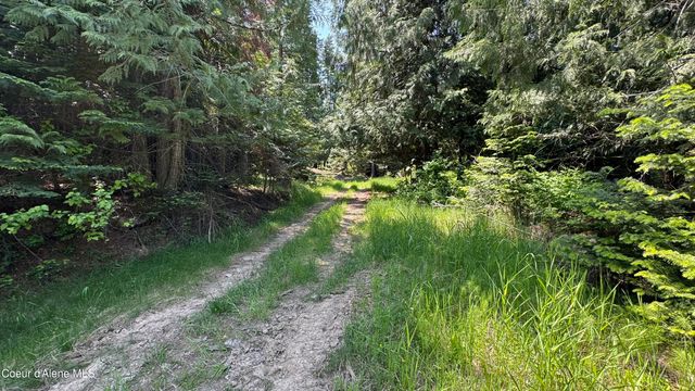 2387 Cherry Creek Rd, St. Maries, ID 83861