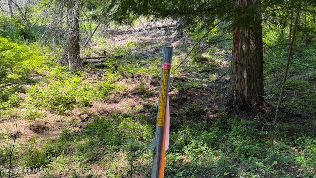 2387 Cherry Creek Rd, St. Maries, ID 83861
