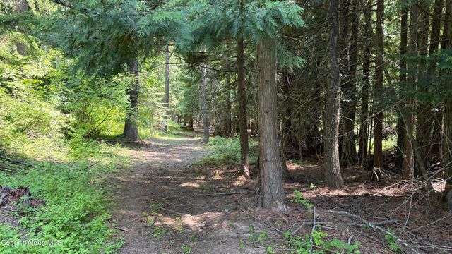 2387 Cherry Creek Rd, St. Maries, ID 83861