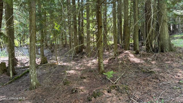 2387 Cherry Creek Rd, St. Maries, ID 83861