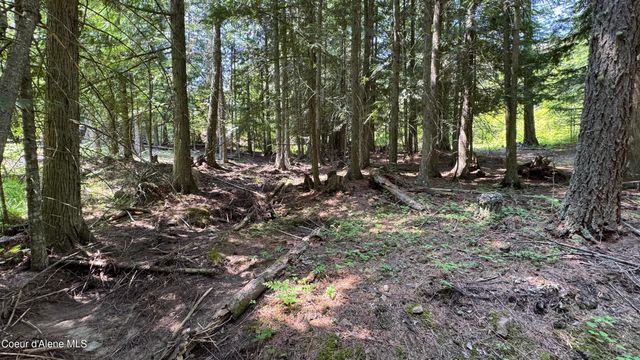 2387 Cherry Creek Rd, St. Maries, ID 83861