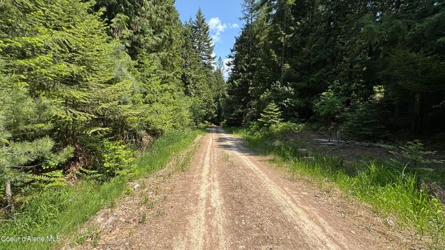 2387 Cherry Creek Rd, St. Maries, ID 83861