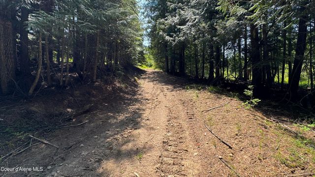 2387 Cherry Creek Rd, St. Maries, ID 83861