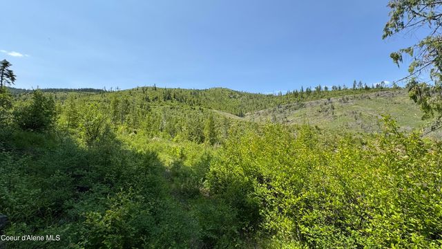 2387 Cherry Creek Rd, St. Maries, ID 83861