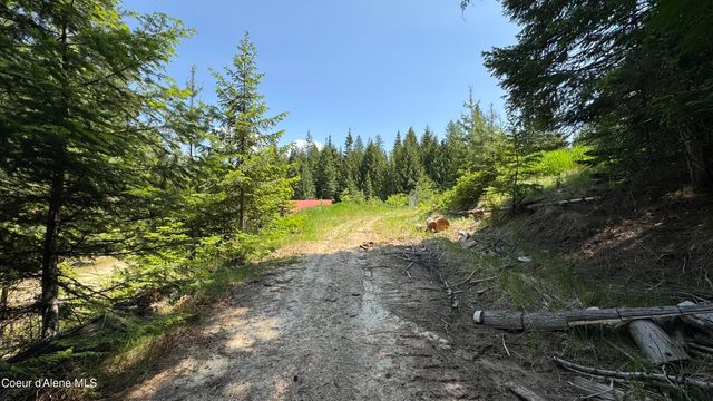2387 Cherry Creek Rd, St. Maries, ID 83861