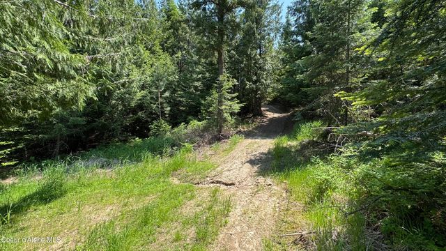 2387 Cherry Creek Rd, St. Maries, ID 83861