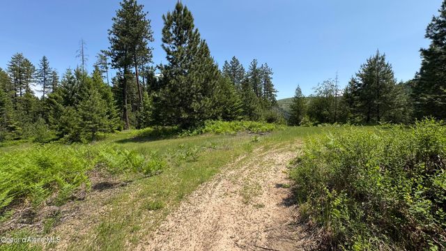 2387 Cherry Creek Rd, St. Maries, ID 83861