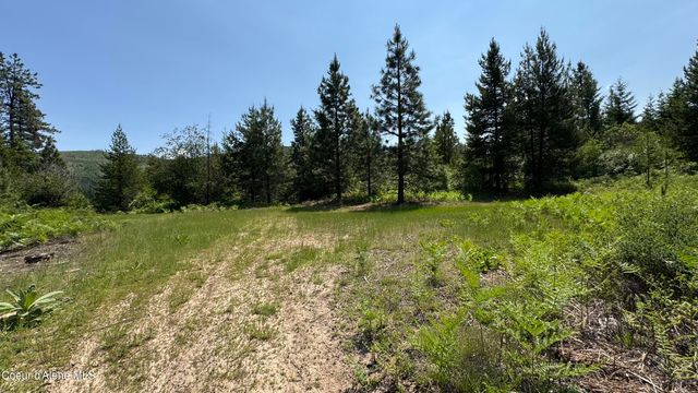 2387 Cherry Creek Rd, St. Maries, ID 83861