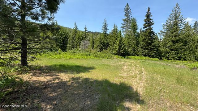 2387 Cherry Creek Rd, St. Maries, ID 83861
