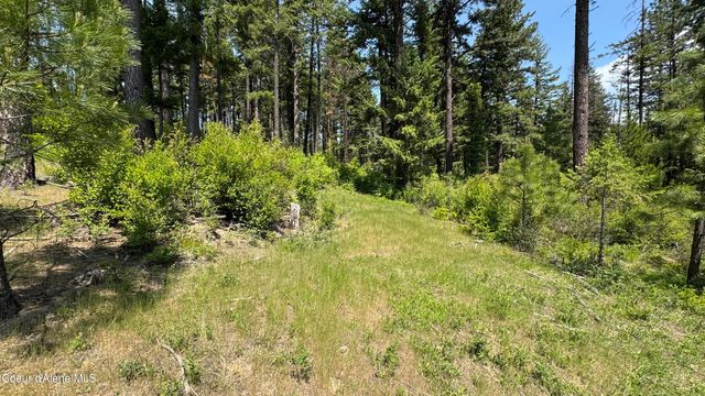 2387 Cherry Creek Rd, St. Maries, ID 83861