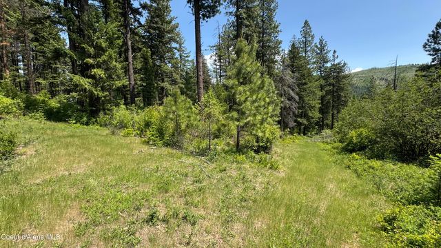 2387 Cherry Creek Rd, St. Maries, ID 83861