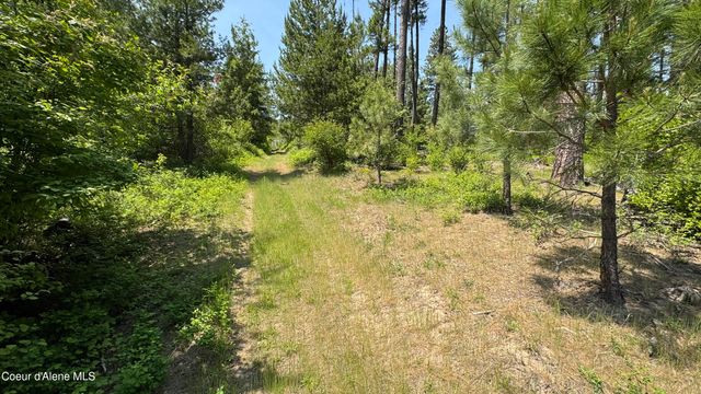 2387 Cherry Creek Rd, St. Maries, ID 83861