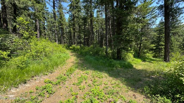 2387 Cherry Creek Rd, St. Maries, ID 83861