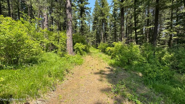 2387 Cherry Creek Rd, St. Maries, ID 83861