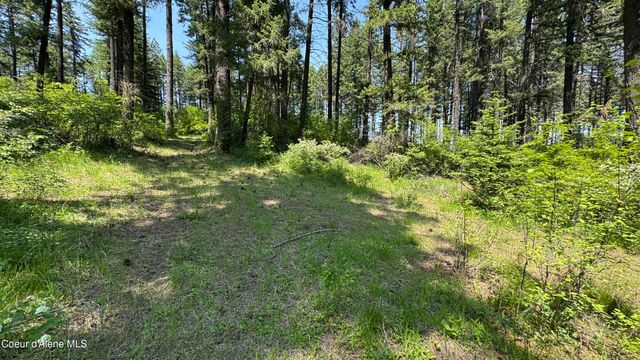 2387 Cherry Creek Rd, St. Maries, ID 83861