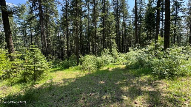 2387 Cherry Creek Rd, St. Maries, ID 83861