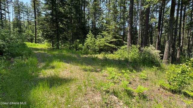 2387 Cherry Creek Rd, St. Maries, ID 83861
