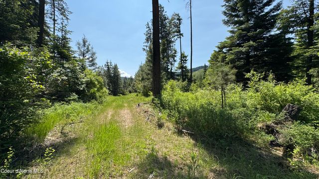 2387 Cherry Creek Rd, St. Maries, ID 83861