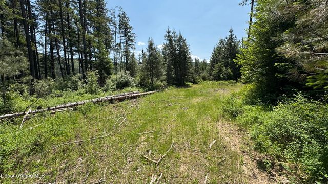 2387 Cherry Creek Rd, St. Maries, ID 83861