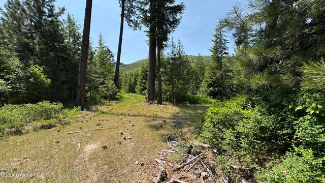 2387 Cherry Creek Rd, St. Maries, ID 83861
