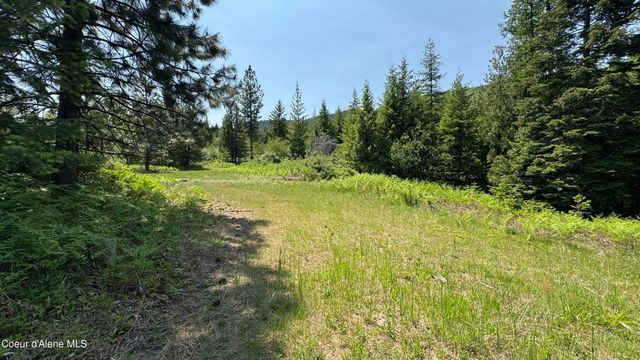 2387 Cherry Creek Rd, St. Maries, ID 83861