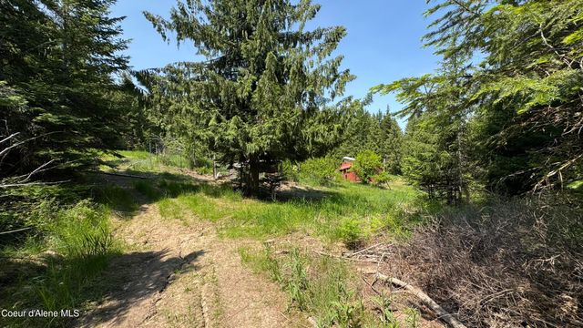 2387 Cherry Creek Rd, St. Maries, ID 83861