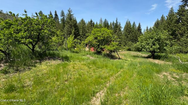 2387 Cherry Creek Rd, St. Maries, ID 83861