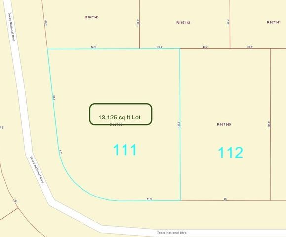 TBD Lot 111 Texas National, Willis, TX 77378