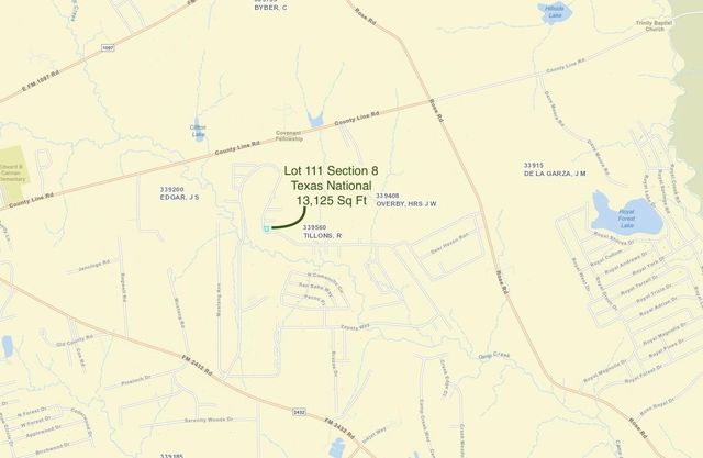 TBD Lot 111 Texas National, Willis, TX 77378