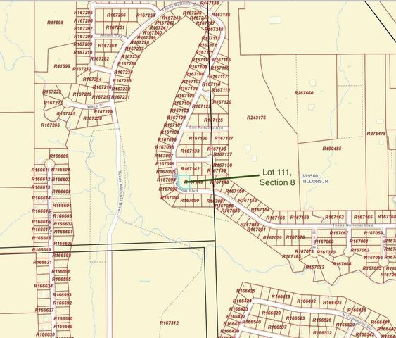 TBD Lot 111 Texas National, Willis, TX 77378