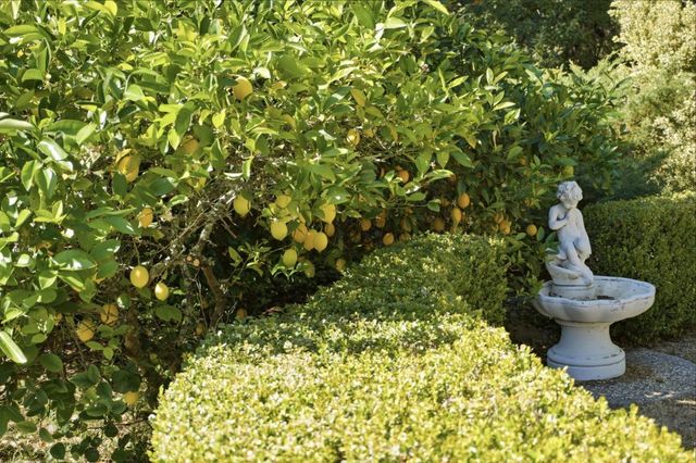 23349 Deerfield Road, Los Gatos, CA 95033