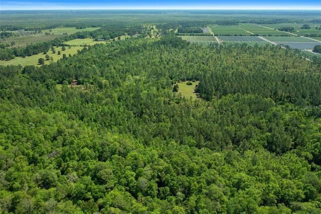 16324 NE COUNTY ROAD 1471, Waldo, FL 32694