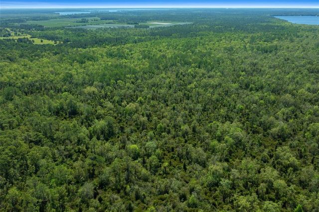 16324 NE COUNTY ROAD 1471, Waldo, FL 32694