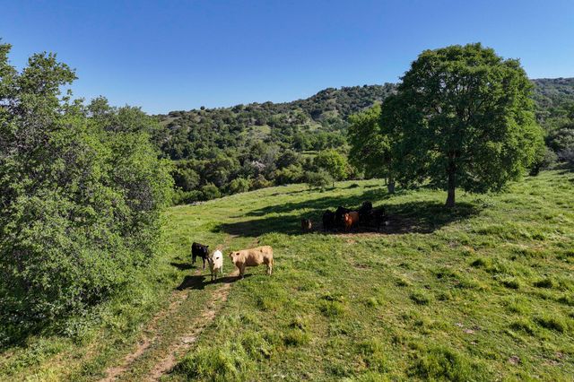 Drive Creek Drive, Badger, CA 93603