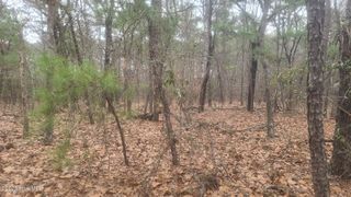 Tbd Union Church Road, Carthage, NC 28327